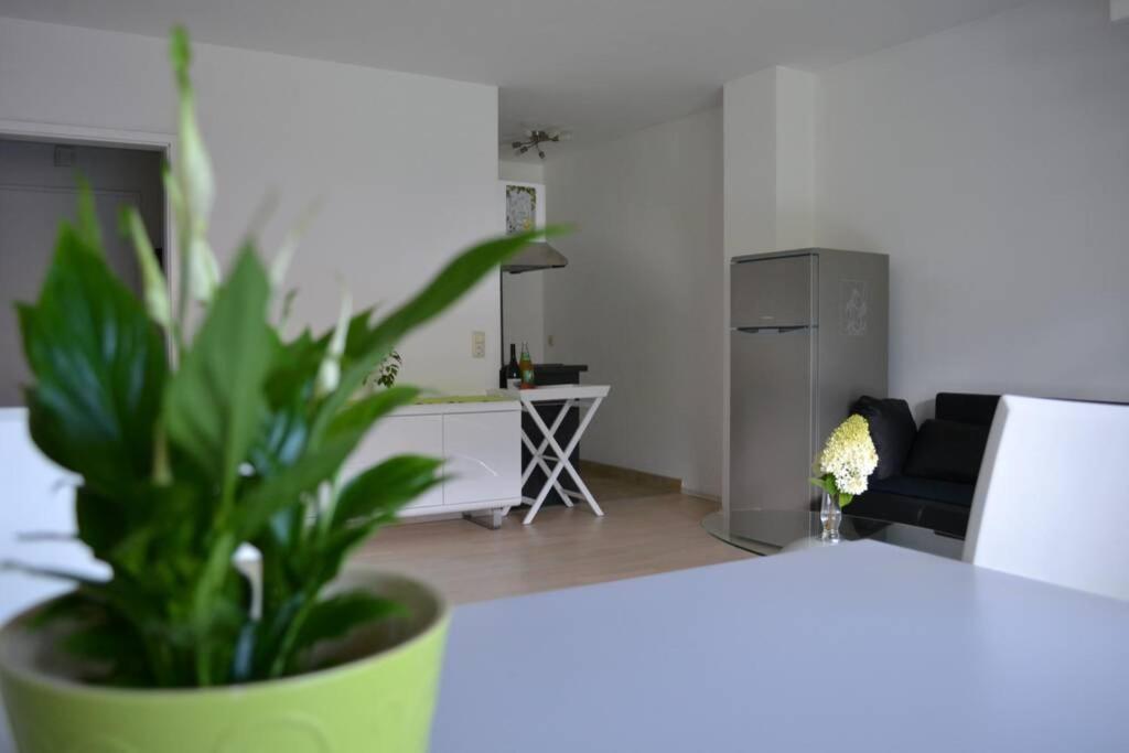 Ferienwohnung Stimmer Grainau Ngoại thất bức ảnh